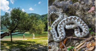 Na Boračkom jezeru dječaka ujela zmija, ne nalazi se u životnoj opasnosti