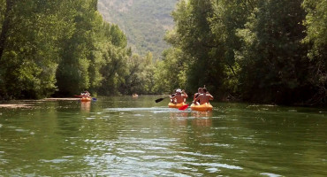 Buna,Bunica,Molson Coors,Omladinski klub novi val,Čuvaj, pazi, ne bacaj!