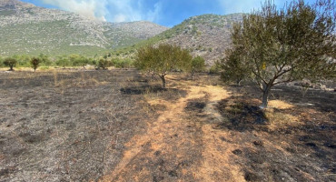 NISU HELIKOPTERI, ALI STIGLA JE KIŠA Požar na planini Žaba u Neumu u potpunosti ugašen