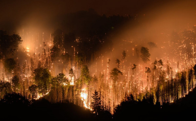 Češka se bori s najvećim požarom u povijesti. Malo im je 750 vatrogasaca, vatra obuhvatila 1000 hektara šume