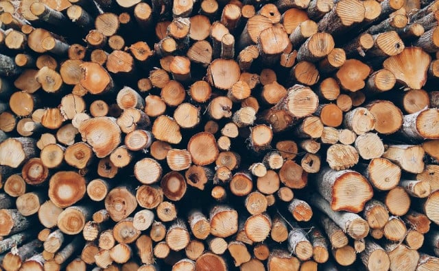 The Chinese bypassed the log export ban by buying sawmills in Srpska