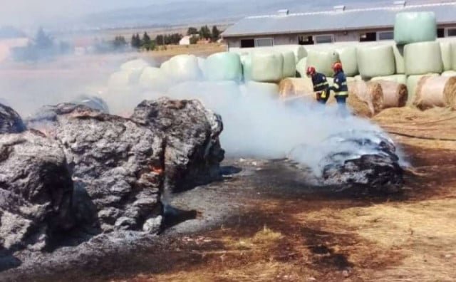 U ZADNJI TRENUTAK Vatrogasci u Tomislavgradu spasili farmu krava od požara