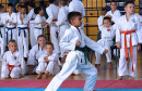 Otvoreno prvenstvo BiH karate klub Semih