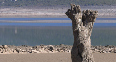 Bilećko jezero