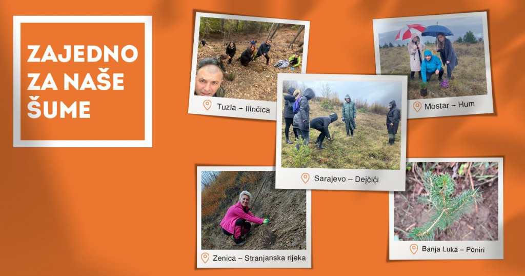 U akciji 'Zajedno za naše šume' Intesa Sanpaolo Banke posađeno 5000 sadnica