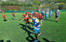 DALMACIJA KUP Mali ragbijaši iz Mostara prikazali vrhunske ragbi vještine