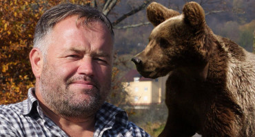 TUŽIT ĆE DRŽAVU Jozi iz sela kod Travnika medvjed od 300 kg po drugi put napao ovce, ranije je napao njega i teško ga ranio
