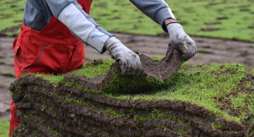 Krenuli radovi, Zrinjski će dobiti novi hibridni travnjak