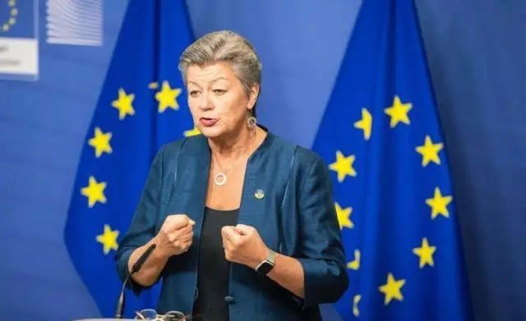 ODGOVOR NA KRIZU Povjerenica EU otkrila na koji način se može spriječiti gomilanje migranata u BiH