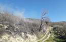 Požar uništio maslinik kod Ljubuškog, vatra zahvatila 10.000 m² površine