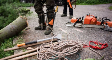 NESREĆA NA RADU U Austriji poginuo radnik iz BiH nakon što je na njega palo stablo