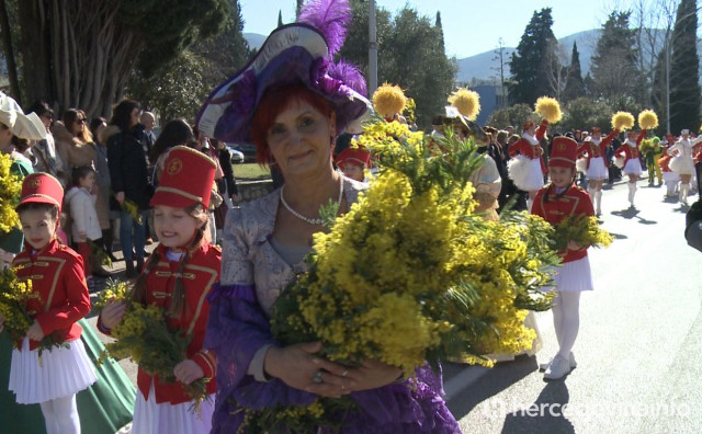 Karavana mimoze donijela miris Mediterana u Hercegovinu