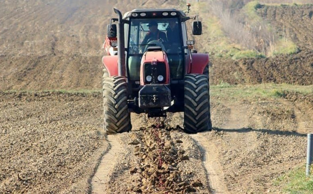 Bosna i Hercegovina uvozi više od dvije trećine potrebnih poljoprivredno-prehrambenih proizvoda