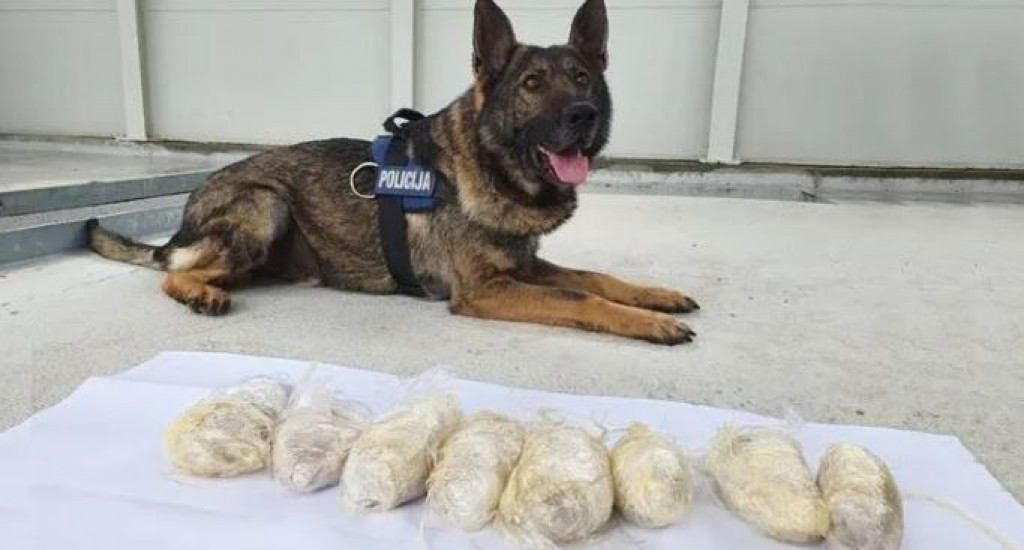 PRAVOMOĆNA PRESUDA Djed koji je iz Hercegovine vozio suprugu, kćer, unuke i kilogram heroina ide u zatvor