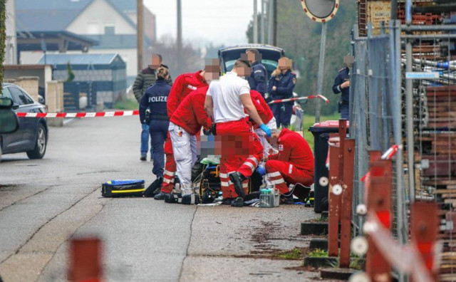 Ubojstvo bh državljanin Austrija