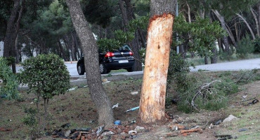 TRAGEDIJA NA ULAZU U POZNATI HOTEL Dva mladića preminula nakon što su se autom zabili u stablo