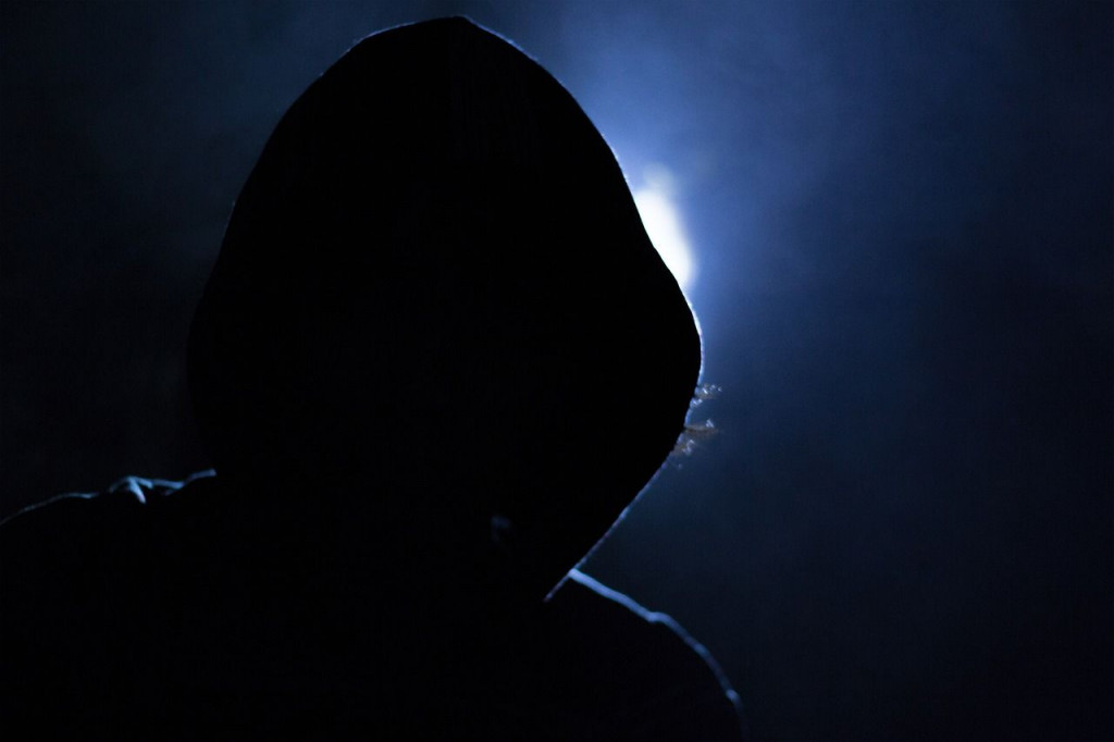 AKCIJA "NINJA KORNJAČA" Švicarska policija privela više od 2000 pedofila i konzumenata dječje pornografije