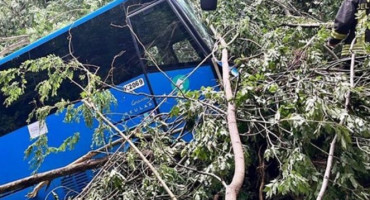 VOZAČA OMELO SUNCE Školski autobus pao u provaliju od 100 metara