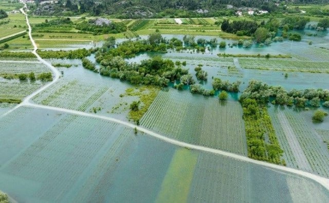 PLODNO TLO PRETVORENO U JEZERO Poplavljena polja uništit će kvalitetu jagoda u Vrgorcu