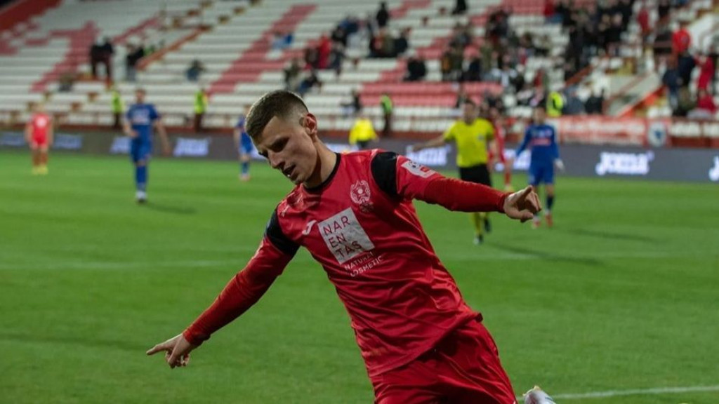 Nedim Hadžić