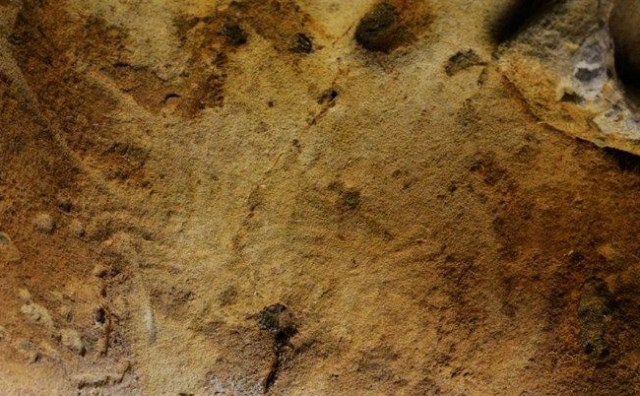 U Francuskoj otkrivena neandertalska umjetnost stara 57.000 godina