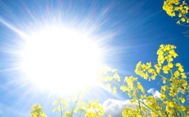 SUNČANICA I TOPLOTNI UDARI Simptomi i prevencija u vrelim ljetnim danima