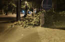 stablo na cesti nevrijeme Mostar