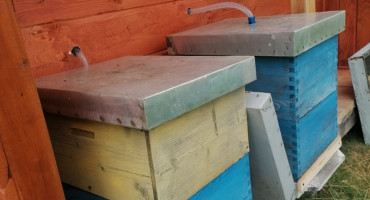 Ljubušak optužen za krađu pčela i košnice iz susjedova pčelinjaka