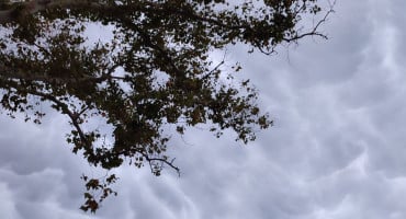 mammatus,oblaci,Mostar