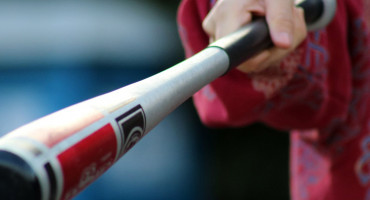 bejzbol palica,pritvor,marko t