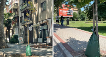 NEKOME SMETAJU CVJETNE ULICE Nasilno pokidane vreće za navodnjavanje mladih stabala u Mostaru