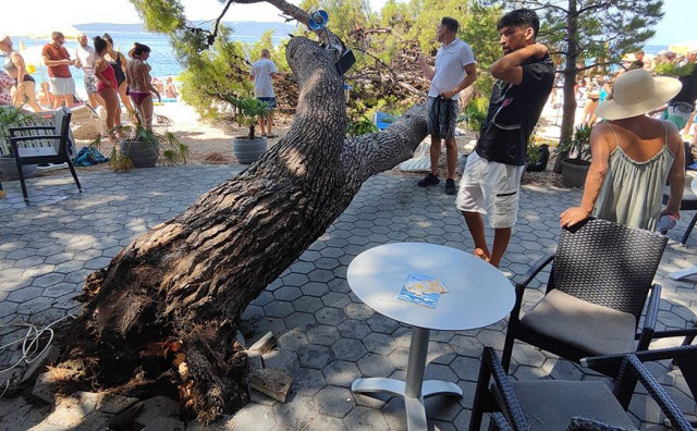UMALO TRAGEDIJA Na plaži popularnog ljetovališta kod Makarske srušilo se stablo, četiri osobe su ozlijeđene