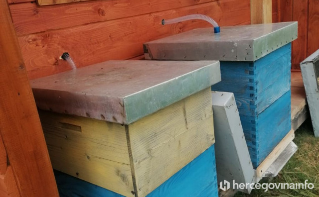 Ljubušak optužen za krađu pčela i košnice iz susjedova pčelinjaka