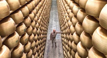 UBILI GA KOLUTOVI SIRA Vlasnik talijanske tvrtke umro nakon što ga je zatrpalo 25.000 komada sira