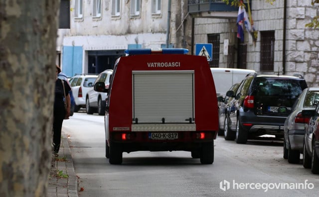 MOSTAR Vatrogasci iz stana u Franjevačkoj uklanjali ose, a zmiju iz obiteljske kuće u Ilićkoj