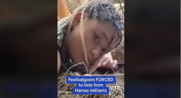 TikTok/Daily mail