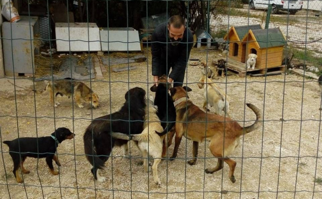 ZAŠTITA SLABIH I NEMOĆNIH Dalibor je prije 2 godine gledao zlostavljanje i trovanje pasa, danas brine o stotinama njih