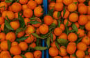 mandarine