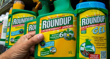 Herbicid roundup