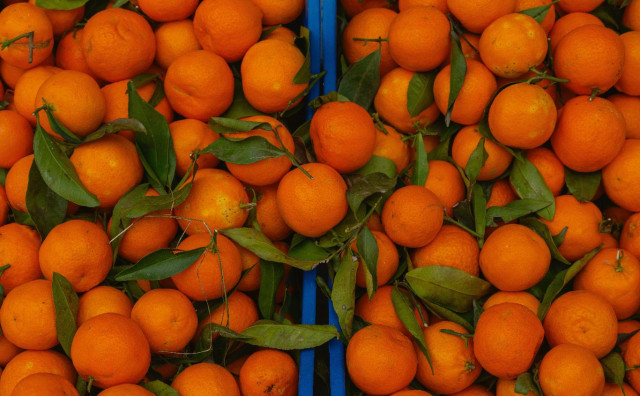 POŠILJKA ZA BIH Pesticidi treći put otkriveni u neretvanskim mandarinama