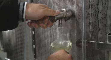 Izvoz vina iz BiH porastao za 3,25 posto, istovremeno uvoz povećan za 18 posto