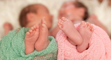 blizanci bebe