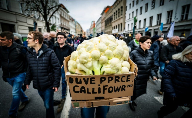ZNATE LI ŠTO JE 'CVJETAČA REVOLUCIJA' Zbog cvjetače od 4 eura cijela država na tri dana bojkotirala trgovačke lance