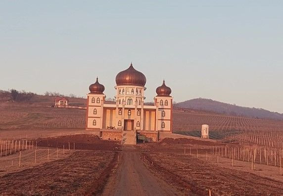 'KNEZ HERCEGOVINE' Poznati biznismen gradi 'Aladinov' dvorac usred vinograda