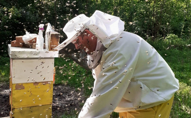 Širokobriješkog veterinara Grgu nagovorili su da krene u pčelarstvo, sada njegov med osvaja zlatne medalje