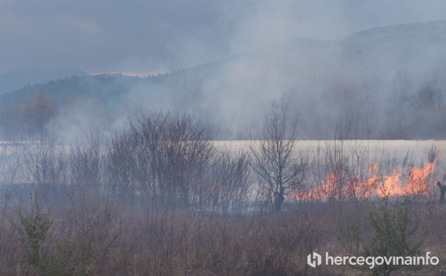 Požar u Čapljini: U Modriču izgorjela šuma i gospodarski objekt, vatrogasci naišli na eksploziv