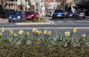 Proljeće u Mostaru