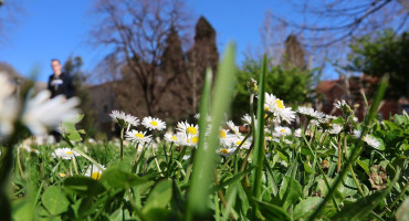 Vremenska prognoza za Mostar i Hercegovinu - 01.11.2025