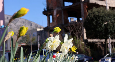 Proljeće u Mostaru