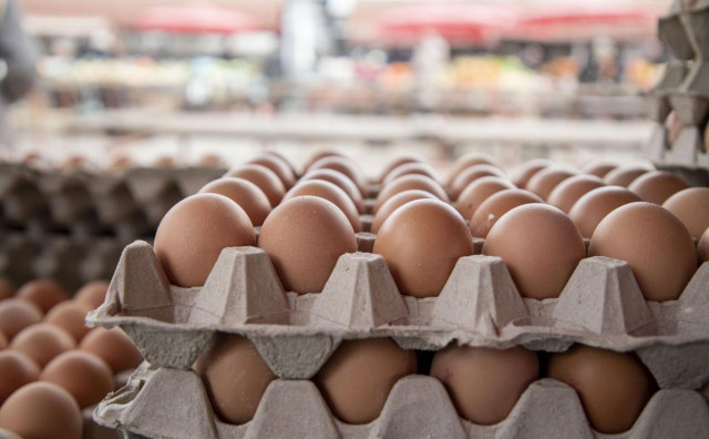 STIŽE USKRS Hercegovački proizvođači jaja kažu da potražnja za blagdane raste 100 posto, nema bojazni o praznim policama